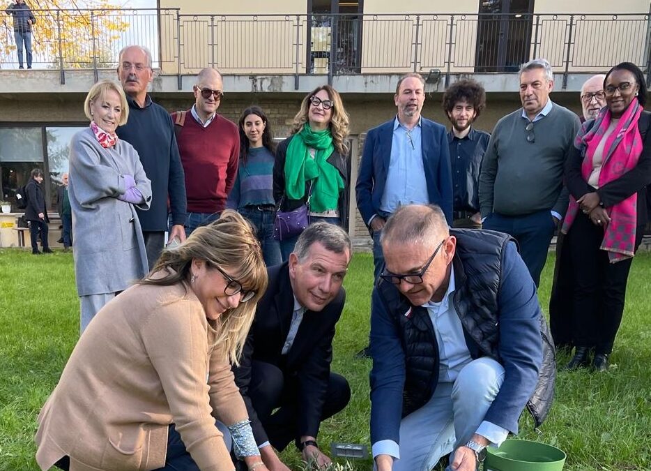 Tre ulivi tra Fiesole e Barbiana sulle orme di Don Milani